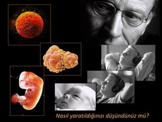 hayatın hızla akıp geçtiğini...
bir gün yaşlanacağınızı...
ölümü...
 