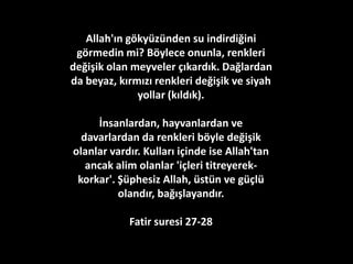 Allah, sizi annelerinizin
karnından hiç bir şey bilmezken
çıkardı ve umulur ki
şükredersiniz diye işitme, görme
(duyularını) ve gönüller verdi.
Nahl Suresi 78
 