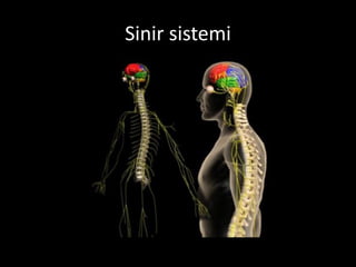Biraz tefekkür