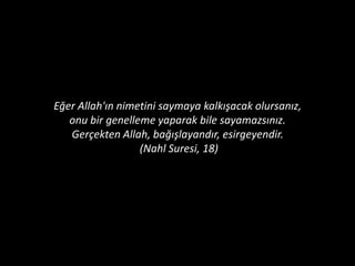 Biraz tefekkür