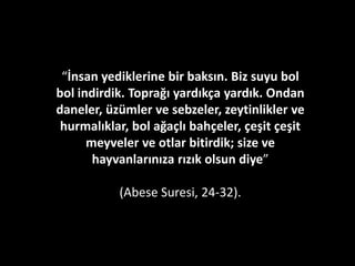 Biraz tefekkür