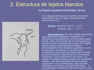 141
2. Estructura de tejidos blandos
2.5 Ángulo nasolabial (Columnela –Sn-Ls)
Es el ángulo formado por el plano columnela-
subnasal (C-Sn) y el plano Subnasal-labio
superior (Sn-Ls)
Norma: Hombres 103,5 ⁰ + 6,8 ⁰
Mujeres 106,4 ⁰ + 7,7 ⁰
Interpretación: Es una medida importante
para determinar displasias maxilares en
dimensión anteroposterior, aunque este ángulo
puede variar de acuerdo con la inclinación que
guarde con la columnela de la nariz. Un ángulo
agudo sugiere una hiperplasia maxilar,
proinclinación de los incisivos superiores o una
combinación de ambas, lo que permite
considerar la retracción quirúrgica de la maxila,
la retroinclinación ortodóncica de los incisivos
inferiores o una combinación de ambos. Un
ángulo nasolabial obtuso sugiere una hipoplasia
maxilar, una retroinclinación de los incisivos
superiores o una combinación. Esto permite
considerar un avance quirúgico del maxilar, la
proinclinación ortodóncica de los incisivos o una
 