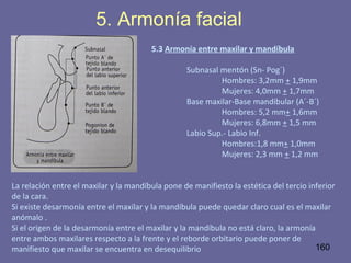 160
5. Armonía facial
5.3 Armonía entre maxilar y mandíbula
Subnasal mentón (Sn- Pog´)
Hombres: 3,2mm + 1,9mm
Mujeres: 4,0mm + 1,7mm
Base maxilar-Base mandibular (A´-B´)
Hombres: 5,2 mm+ 1,6mm
Mujeres: 6,8mm + 1,5 mm
Labio Sup.- Labio Inf.
Hombres:1,8 mm+ 1,0mm
Mujeres: 2,3 mm + 1,2 mm
La relación entre el maxilar y la mandíbula pone de manifiesto la estética del tercio inferior
de la cara.
Si existe desarmonía entre el maxilar y la mandíbula puede quedar claro cual es el maxilar
anómalo .
Si el origen de la desarmonía entre el maxilar y la mandíbula no está claro, la armonía
entre ambos maxilares respecto a la frente y el reborde orbitario puede poner de
manifiesto que maxilar se encuentra en desequilibrio
 