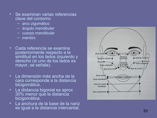 33
• Se examinan varias referencias
clave del contorno
– arco zigomático
– ángulo mandibular
– cuerpo mandibular
– mentón.
• Cada referencia se examina
posteriormente respecto a la
similitud en los lados izquierdo y
derecho (si uno de los lados es
mayor, se señala).
• La dimensión más ancha de la
cara corresponde a la distancia
bicigomática,
• La distancia bigonial es aprox
30% menor que la distancia
bicigomática.
• La anchura de la base de la nariz
es igual a la distancia intercantal.
 