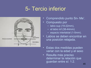 45
5- Tercio inferior
• Comprendido punto Sn- Me’.
• Compuesto por
– labio sup (19-22mm),
– el labio inf (38-44mm)
– espacio interlabial (1-5mm).
• Labios se deben encontrar en
una posición relajada.
• Estas dos medidas pueden
variar con la edad y el sexo
• Resulta más preciso
determinar la relación que
guardan entre sí: 1:2.
 