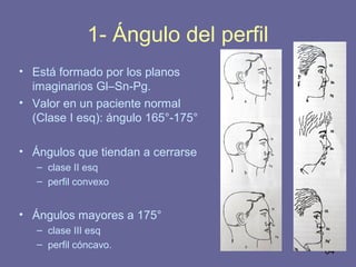 64
1- Ángulo del perfil
• Está formado por los planos
imaginarios Gl–Sn-Pg.
• Valor en un paciente normal
(Clase I esq): ángulo 165°-175°
• Ángulos que tiendan a cerrarse
– clase II esq
– perfil convexo
• Ángulos mayores a 175°
– clase III esq
– perfil cóncavo.
 