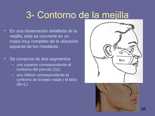 68
3- Contorno de la mejilla
• En una observación detallada de la
mejilla, ésta se convierte en un
mapa muy completo de la ubicación
espacial de los maxilares.
• Se compone de dos segmentos
– uno superior correspondiente al
contorno del pómulo (Cp)
– uno inferior correspondiente al
contorno de la base nasal y el labio
(Bn-L).
 