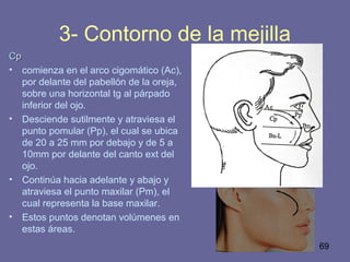 69
3- Contorno de la mejilla
CpCp
• comienza en el arco cigomático (Ac),
por delante del pabellón de la oreja,
sobre una horizontal tg al párpado
inferior del ojo.
• Desciende sutilmente y atraviesa el
punto pomular (Pp), el cual se ubica
de 20 a 25 mm por debajo y de 5 a
10mm por delante del canto ext del
ojo.
• Continúa hacia adelante y abajo y
atraviesa el punto maxilar (Pm), el
cual representa la base maxilar.
• Estos puntos denotan volúmenes en
estas áreas.
 