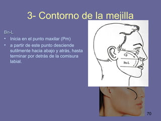 70
3- Contorno de la mejilla
Bn-LBn-L
• Inicia en el punto maxilar (Pm)
• a partir de este punto desciende
sutilmente hacia abajo y atrás, hasta
terminar por detrás de la comisura
labial.
 