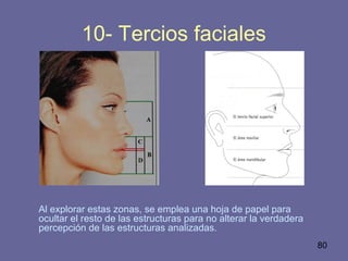 80
10- Tercios faciales
Al explorar estas zonas, se emplea una hoja de papel para
ocultar el resto de las estructuras para no alterar la verdadera
percepción de las estructuras analizadas.
 