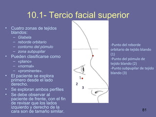 81
10.1- Tercio facial superior
• Cuatro zonas de tejidos
blandos:
– Glabela
– reborde orbitario
– contorno del pómulo
– zona subpupilar
• Pueden clasificarse como
– «plano»
– «normal»
– «prominente».
• El paciente se explora
primero desde el lado
derecho.
• Se exploran ambos perfiles
• Se debe observar al
paciente de frente, con el fin
de revisar que los lados
izquierdo y derecho de la
cara son de tamaño similar.
-Punto del reborde
orbitario de tejido blando
(1)
-Punto del pómulo de
tejido blando (2)
-Punto subpupilar de tejido
blando (3)
2
3
 