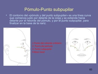 83
Pómulo-Punto subpupilar
• El contorno del «pómulo y del punto subpupilar» es una línea curva
que comienza justo por delante de la oreja y se extiende hacia
delante por el reborde del pómulo, y por el punto subpupilar, para
finalizar en la base de la nariz.
1-Punto del reborde orbitario
2- Punro del pómulo
3- Punto subpupilar
4-Base nasal
 