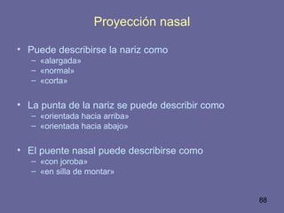 88
Proyección nasal
• Puede describirse la nariz como
– «alargada»
– «normal»
– «corta»
• La punta de la nariz se puede describir como
– «orientada hacia arriba»
– «orientada hacia abajo»
• El puente nasal puede describirse como
– «con joroba»
– «en silla de montar»
 