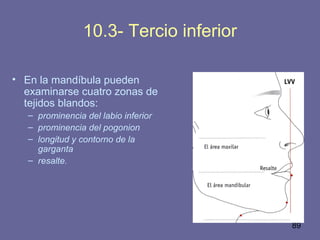 89
10.3- Tercio inferior
• En la mandíbula pueden
examinarse cuatro zonas de
tejidos blandos:
– prominencia del labio inferior
– prominencia del pogonion
– longitud y contorno de la
garganta
– resalte.
 