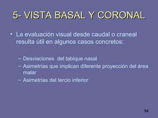 94
5- VISTA BASAL Y CORONAL5- VISTA BASAL Y CORONAL
• La evaluación visual desde caudal o craneal
resulta útil en algunos casos concretos:
– Desviaciones del tabique nasal
– Asimetrías que implican diferente proyección del área
malar
– Asimetrías del tercio inferior
 