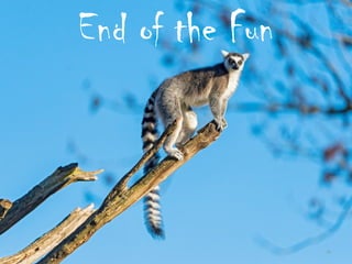 End of the Fun
20
 