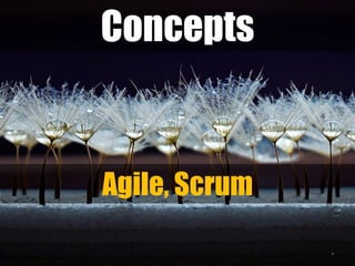 Concepts
4
Agile, Scrum
 