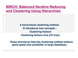 Birch | PPT