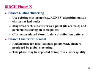 Birch | PPT