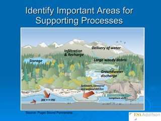 Identify Important Areas for Supporting Processes Infiltration & Recharge Storage Groundwater discharge Delivery of water Longshore drift Large woody debris Source: Puget Sound Partnership 
