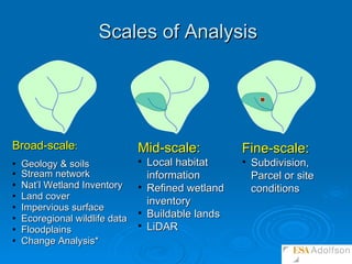 Scales of Analysis Broad-scale :  Geology & soils  Stream network Nat’l Wetland Inventory Land cover Impervious surface Ecoregional wildlife data Floodplains  Change Analysis* Mid-scale:  Local habitat information  Refined wetland inventory Buildable lands LiDAR Fine-scale:  Subdivision, Parcel or site conditions 