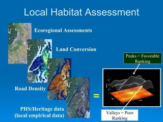 = Ecoregional Assessments Land Conversion Road Density Local Habitat Assessment Valleys = Poor Ranking Peaks = Favorable Ranking PHS/Heritage data (local empirical data) 