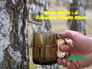 Birch Water - A
Complete Health Elixir
BelSeva
 