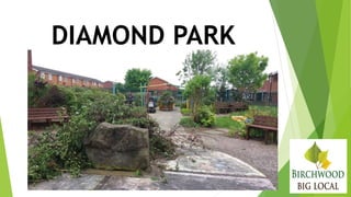 DIAMOND PARK
 