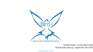 Corentin Guillo - Co-founder & CEO
HUGUK Goes Startup - September 08, 2015
Birdi Ltd commercial in confidence
 