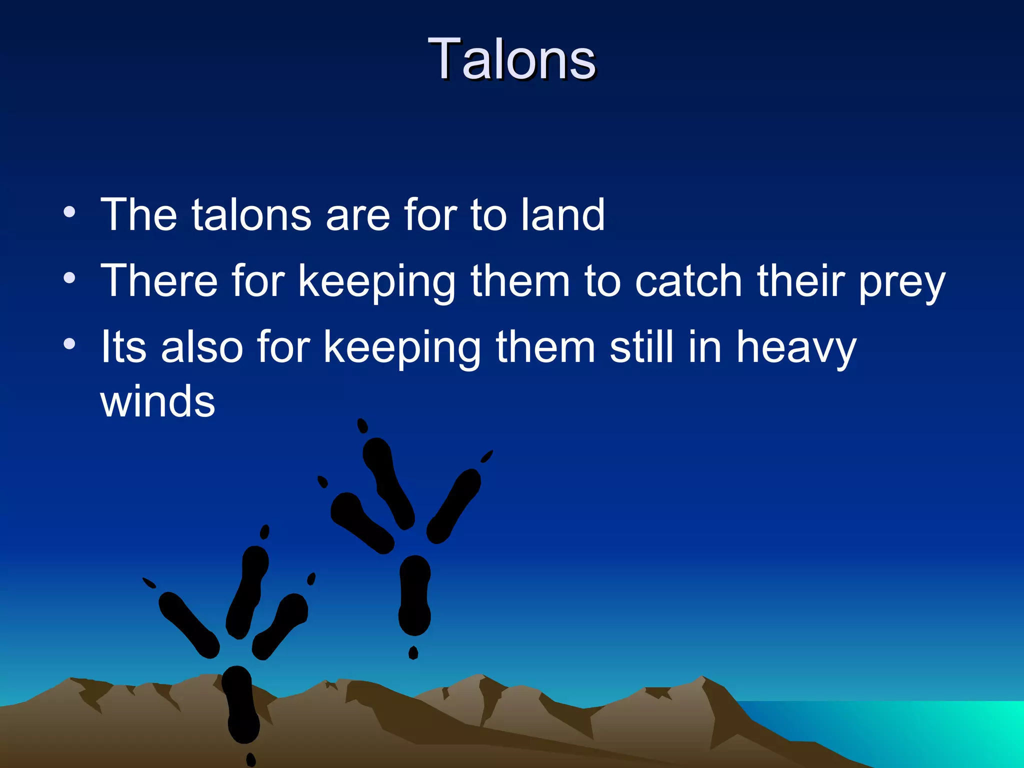 Talons The talons are for to land There for keeping them to catch their prey Its also for keeping them still in heavy winds 