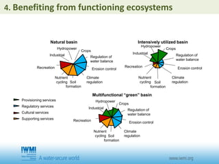 Natural basin
Crops
Hydropower
Industrial Regulation of
water balance
Erosion control
Climate
regulationSoil
formation
Nutrient
cycling
Recreation
Crops
Hydropower
Industrial
Regulation of
water balance
Erosion control
Climate
regulationSoil
formation
Nutrient
cycling
Recreation
Intensively utilized basin
Crops
Hydropower
Industrial Regulation of
water balance
Erosion control
Climate
regulationSoil
formation
Nutrient
cycling
Recreation
Multifunctional “green” basin
Provisioning services
Regulatory services
Cultural services
Supporting services
4. Benefiting from functioning ecosystems
 