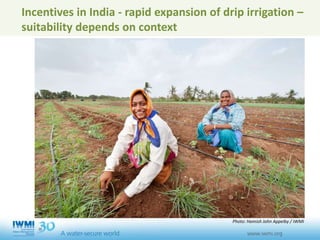 Incentives in India - rapid expansion of drip irrigation –
suitability depends on context
Photo: Hamish John Appelby / IWMI
 