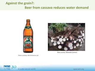 Against the grain?:
Beer from cassava reduces water demand
Photo courtesy: Nile Breweries Ltd.
Photo courtesy: Wikimedia Commons
 
