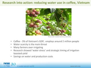 Research into action: reducing water use in coffee, Vietnam
• Coffee - 3% of Vietnam’s GDP; employs around 2 million people
• Water scarcity is the main threat
• Many farmers over-irrigating
• Research showed ‘water stress’ and strategic timing of irrigation
boosted yield
• Savings on water and production costs
Photo Credit: Creative Commons, Wikimedia
 