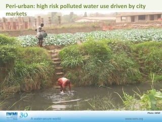 Peri-urban: high risk polluted water use driven by city
markets
Photo: IWMI
 