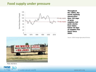 Source: USDA Foreign Agricultural Service
Food supply under pressure
Photo: Bob Morris
 