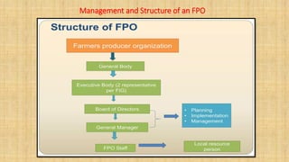 Presentation for FPO by Sikander Zulkarnain [Autosaved].pdf