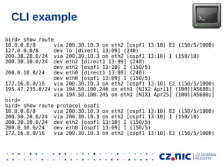 BIRD Routing Daemon | PDF