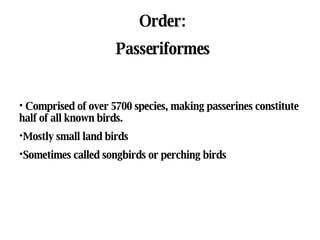 Order: Passeriformes ,[object Object],[object Object],[object Object]