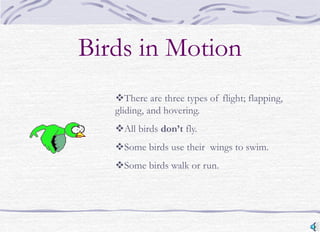 bird[1].ppt