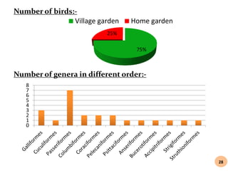 Birds project - collection and identification of birds | PPTX