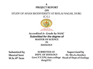 A
PROJECT REPORT
ON
STUDY OF AVIAN BIODIVERSITY AT BHILAI NAGAR, DURG
(C.G.)
Accredited A+ Grade by NAAC
Submitted for the degree of
MASTER OF SCIENCE
IN
ZOOLOGY
Submitted by
Sheetal Soni
M.Sc.4th Sem
Supervised by
Dr. Mrs.k.choubey
Head of Dept.of Zoology
SUBMITTED AT
DEPT. OF ZOOLOGY
Govt.V.Y.T.PG.Auto.college
durg(CG)
 