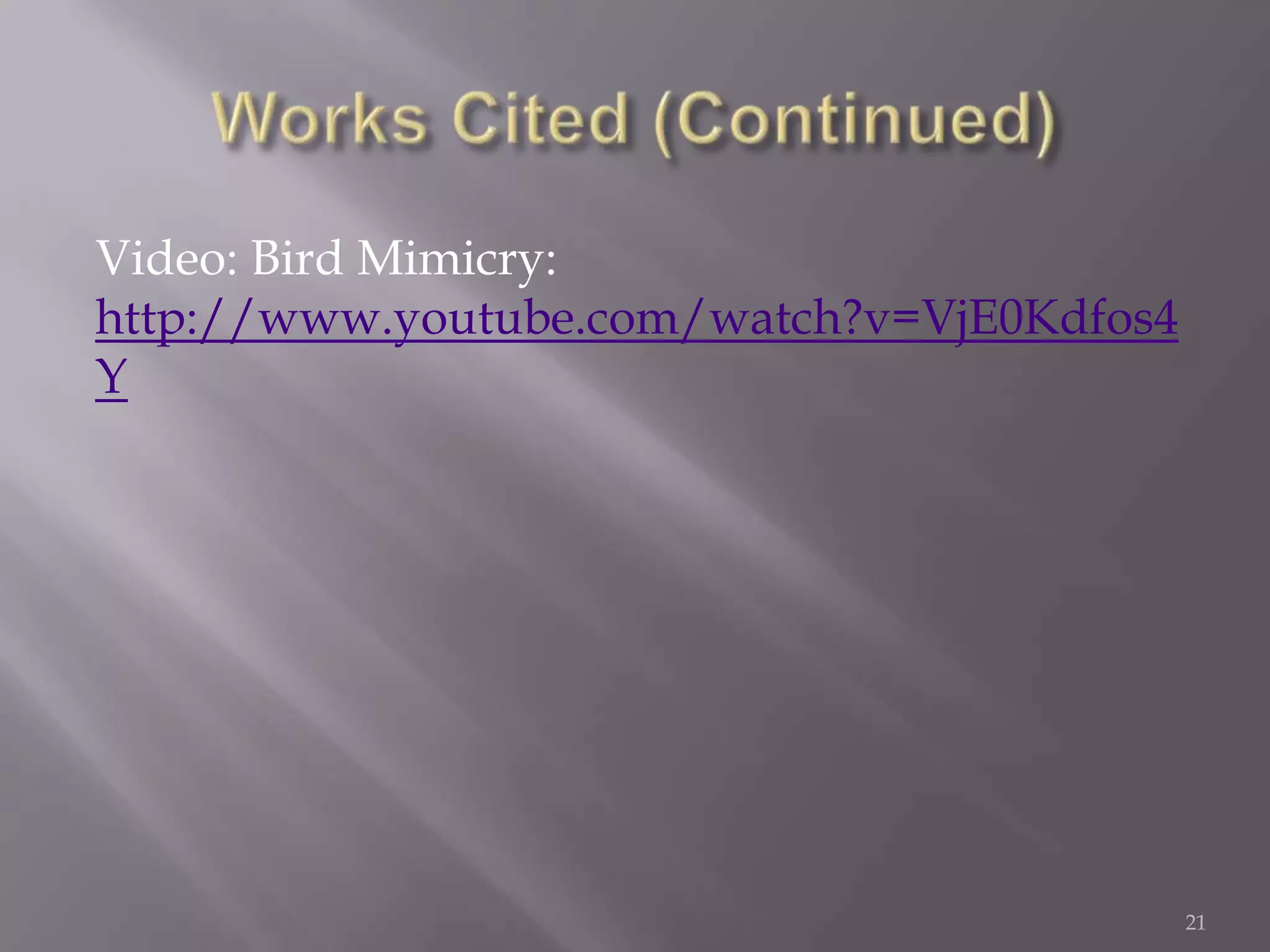 Works Cited (Continued)Video: Bird Mimicry: http://www.youtube.com/watch?v=VjE0Kdfos4Y21