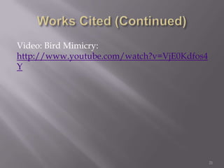Works Cited (Continued)Video: Bird Mimicry: http://www.youtube.com/watch?v=VjE0Kdfos4Y21