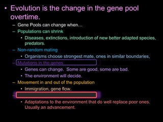 Evolution, Bird Adaptations Lesson, Biology PowerPoint, Bird Beaks | PPTX