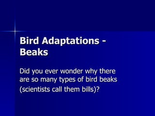 Bird Adaptations - Beaks Did you ever wonder why there are so many types of bird beaks (scientists call them bills)? 