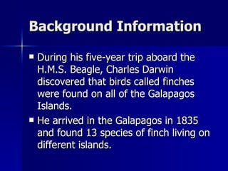 Background Information During his five-year trip aboard the H.M.S. Beagle, Charles Darwin discovered that birds called finches were found on all of the Galapagos Islands.  He arrived in the Galapagos in 1835 and found 13 species of finch living on different islands.  