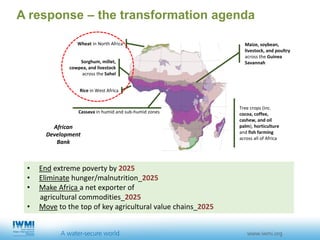 IWMI in Action - A Water Secure World | PDF