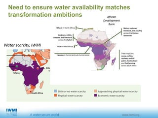 IWMI in Action - A Water Secure World | PDF