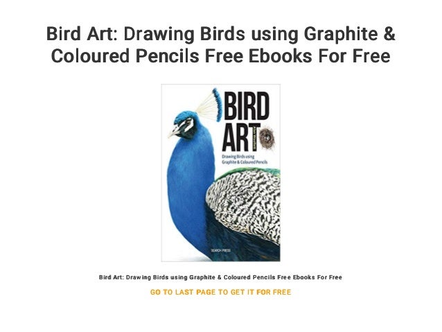 Drawing Birds using Graphite /& Coloured Pencils Bird Art